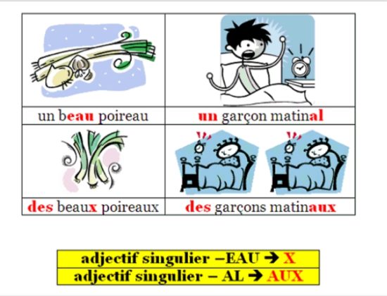 Множественное число существительных во французском