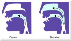 nasales