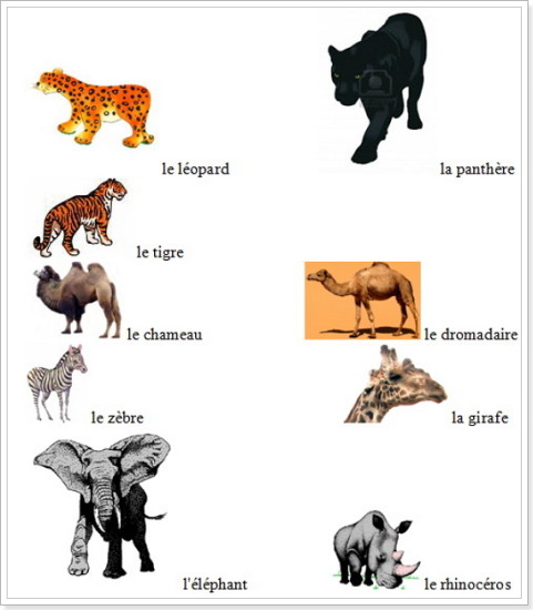 Дикие животные на французском языке