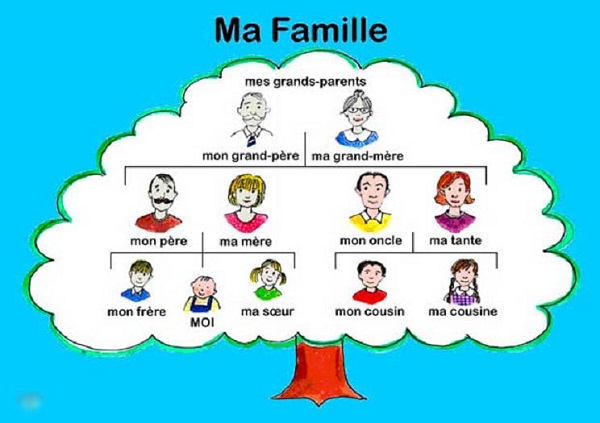 Семейное дерево на французском языке